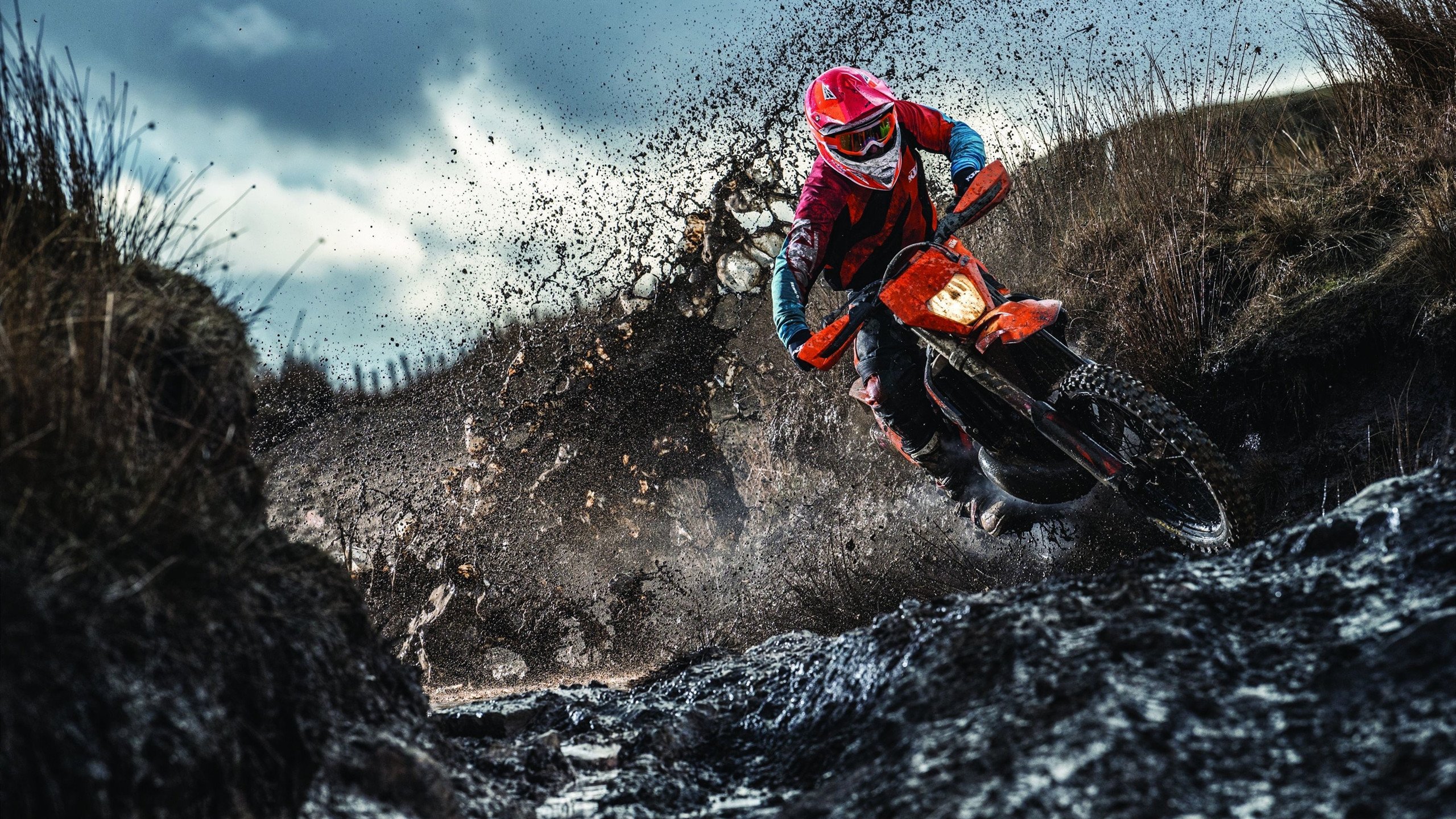 太空狼人杀“推理全明星赛”引领全国推理热潮